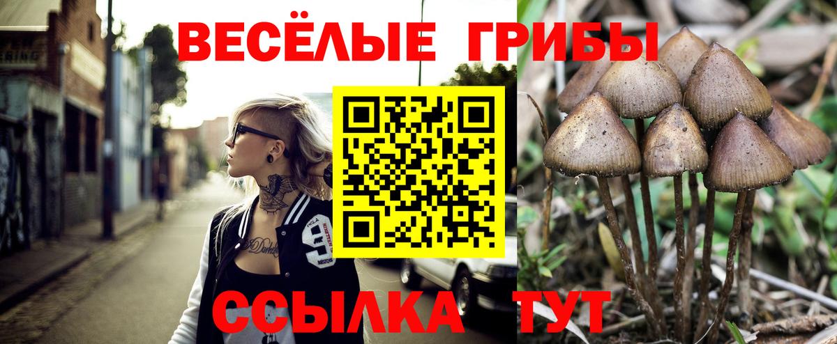 Отрадное  Галлюциногенные грибы мухоморы  купить закладку  Галлюциногенные грибы прущие грибы  Вход с VPN 