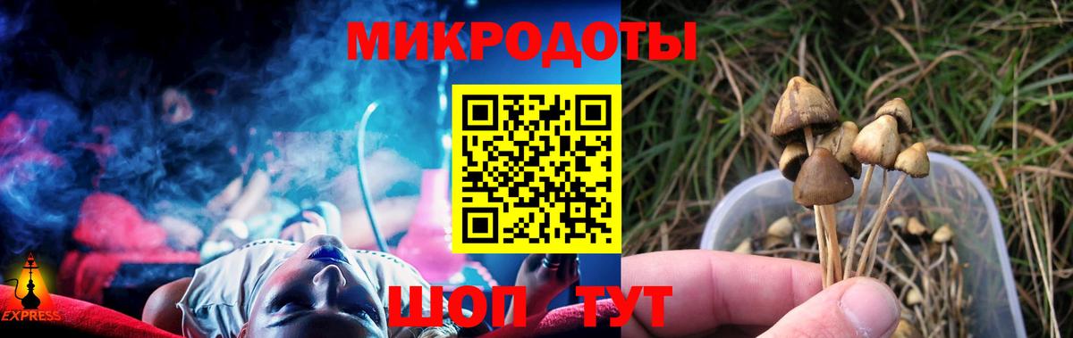 Галлюциногенные грибы GOLDEN TEACHER Отрадное