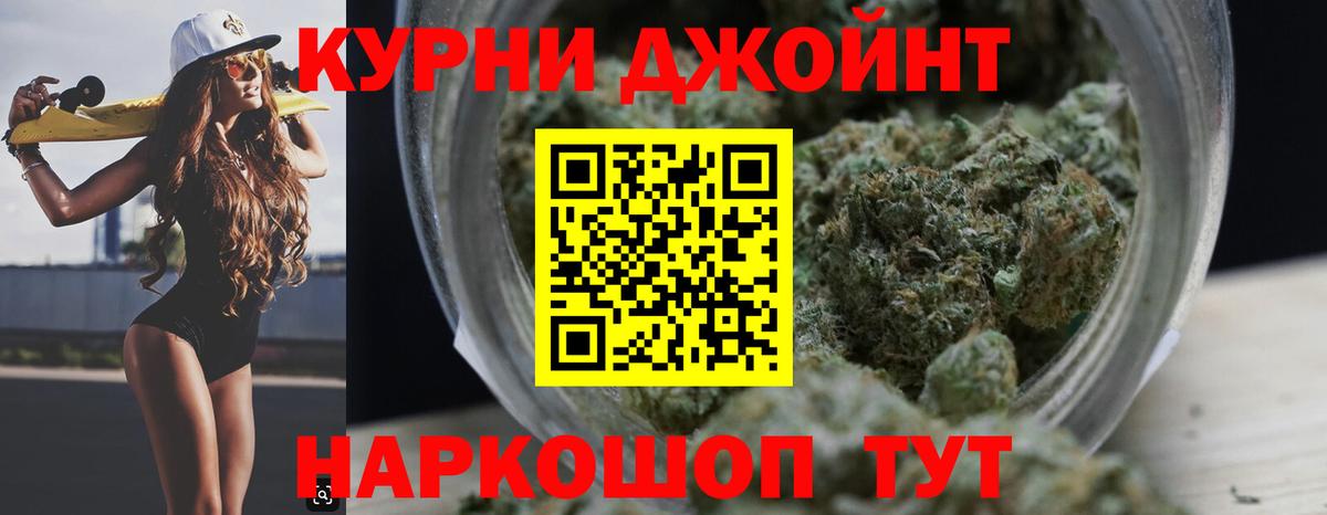 Канабис сатива Отрадное